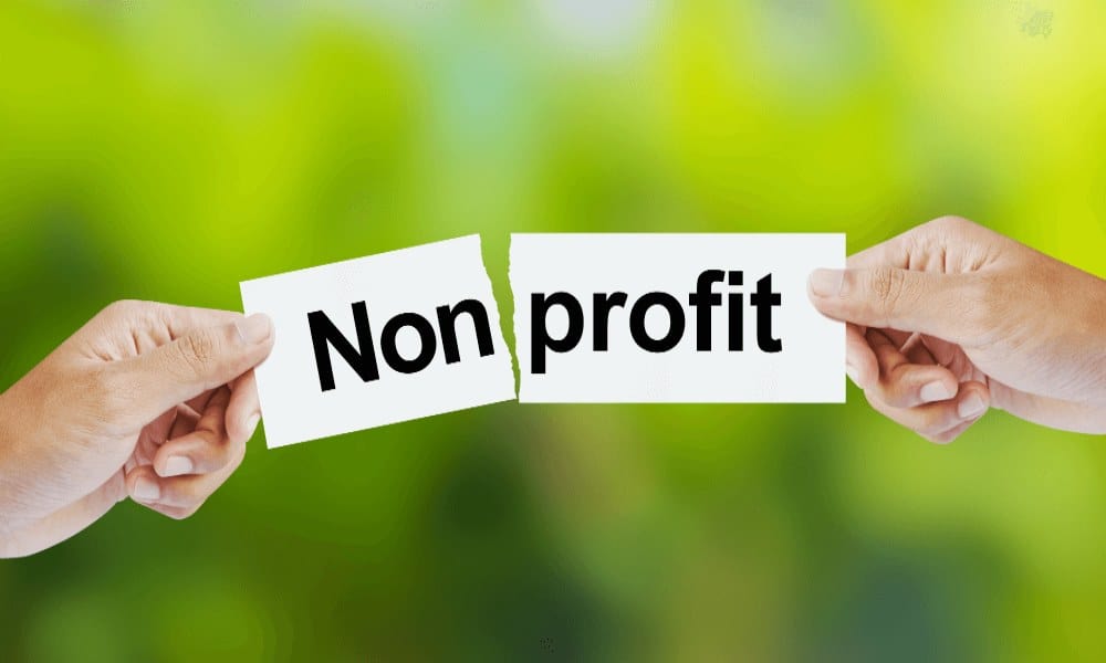 Nonprofit Marketing Plan